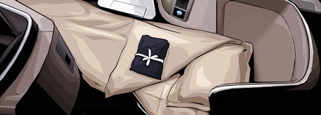 Business Class Services