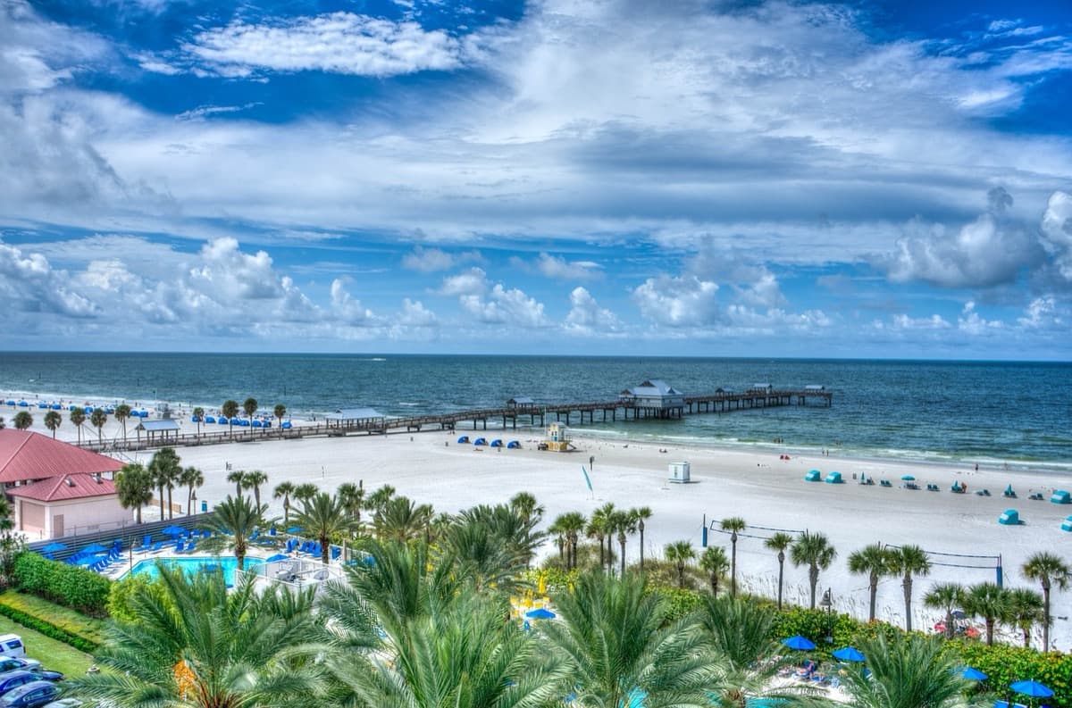 Business Flights to Tampa