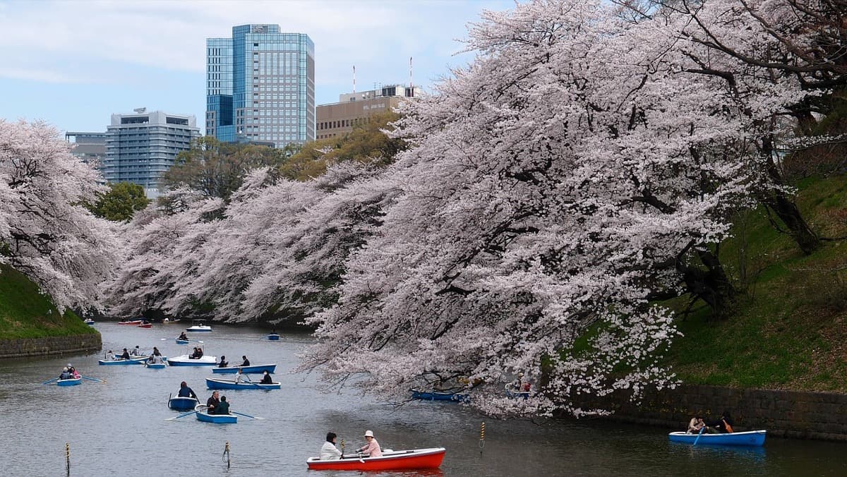 Business Flights to Tokyo from the UK