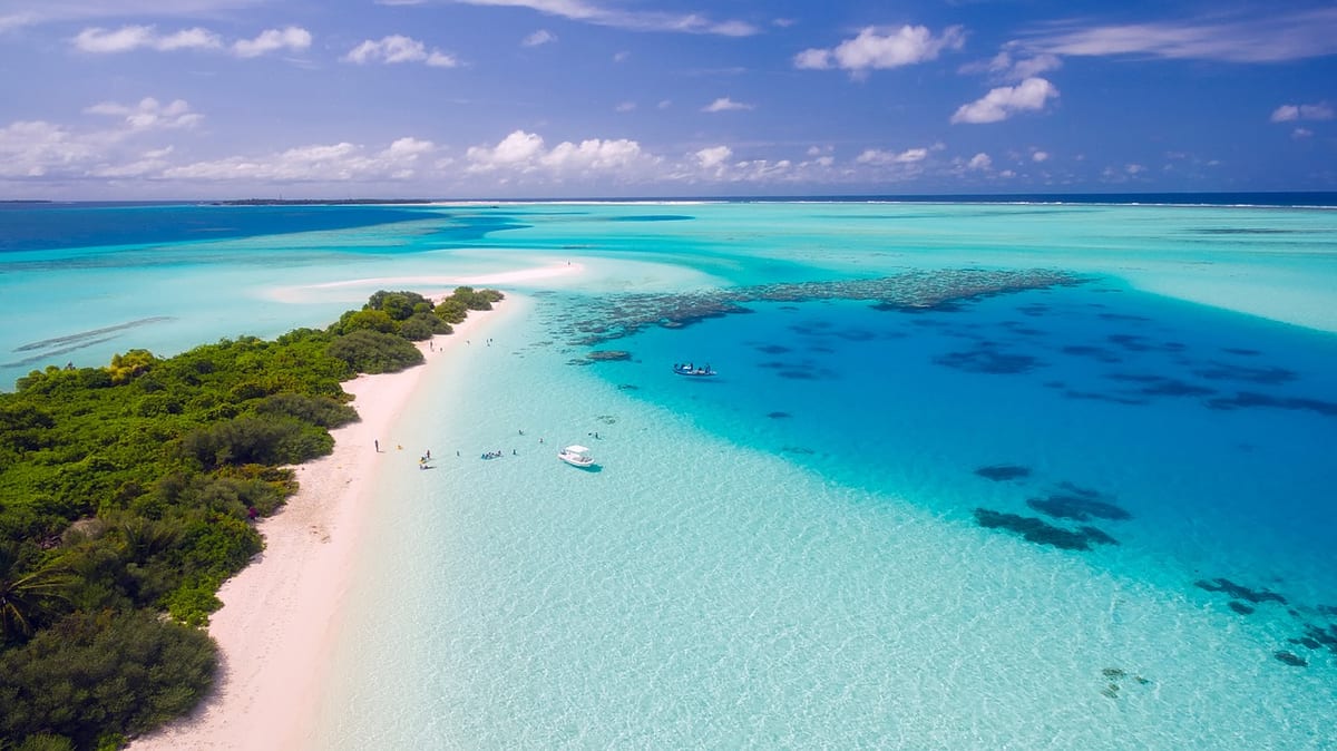 Black Friday Travel Deals and Shopping Tips for 2017