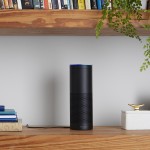 Amazon Echo Bookshelf