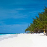 Business Class flights to Barbados